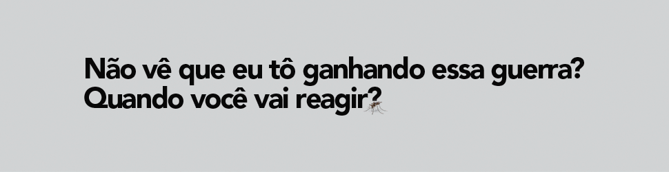 Governo - Dengue -Agosto 2026