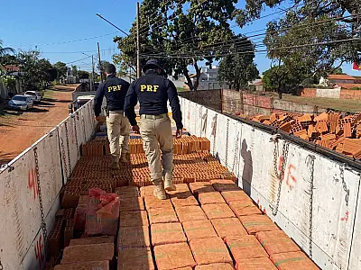PRF apreende 12 toneladas de maconha em caminhão carregado com tijolos