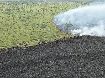 Novo relatório do MPMS descarta crime em 14 incêndios no Pantanal