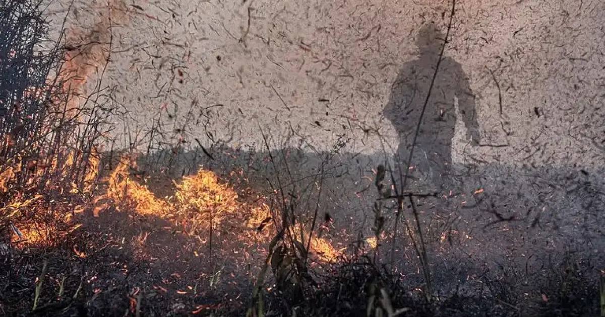 MP autoriza crédito extraordinário no combate à crise climática e apoio a populações atingidas