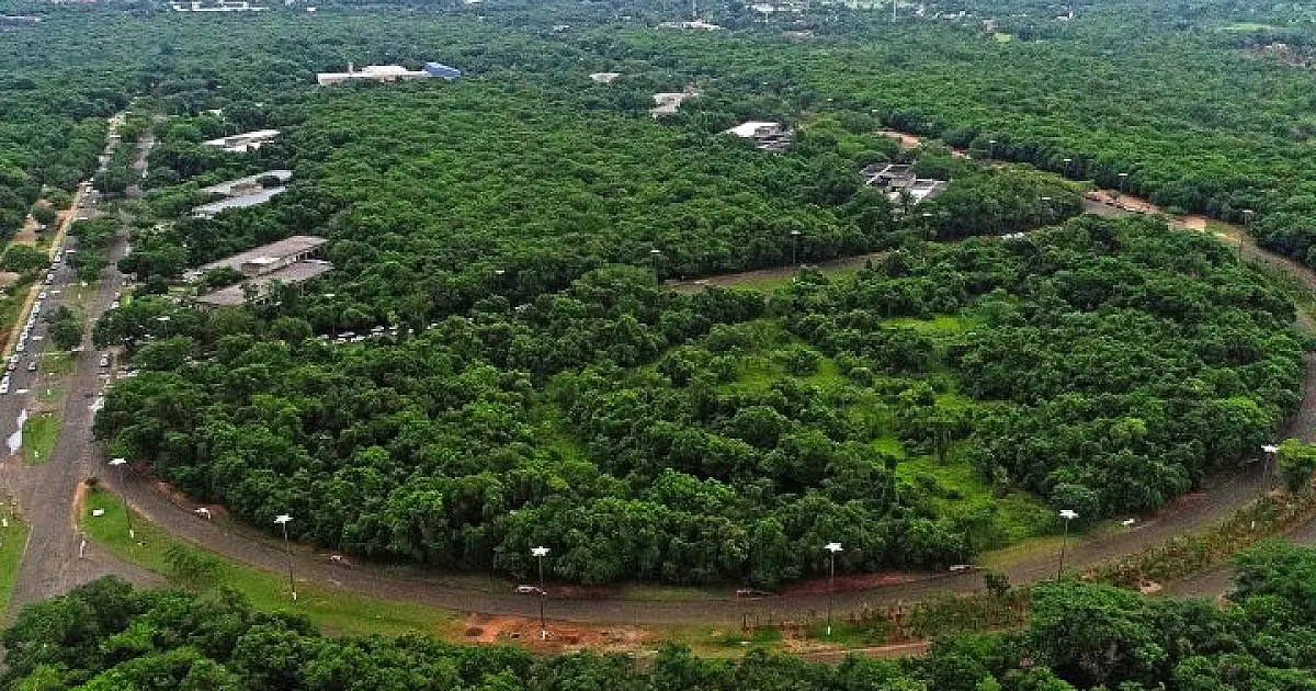 Juíza ignora apelo popular e dá aval ao desmatamento de 18,6 há do Parque dos Poderes