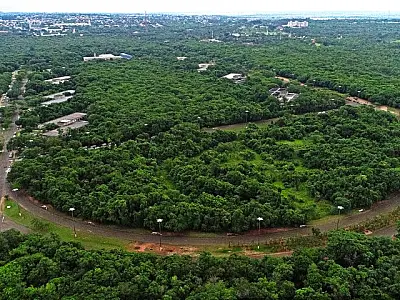 Juíza ignora apelo popular e dá aval ao desmatamento de 18,6 há do Parque dos Poderes