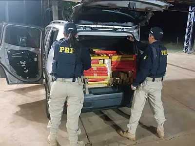 PRF apreende 752,2 Kg de maconha e recupera veículo na BR 267