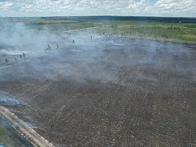 Proprietário é multado em R$ 14 mil por incêndio em 14 hectares de pastagem