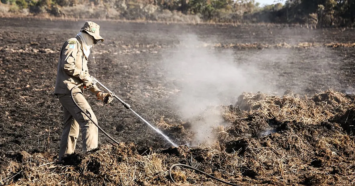 Queimadas controladas no Pantanal permanecem proibidas até o fim do ano