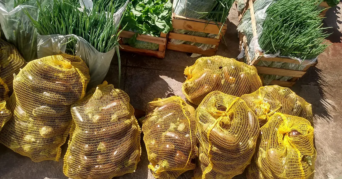 Programa de Aquisição de Alimentos tem recurso de R$ 461 mil em 2024; inscrições estão abertas