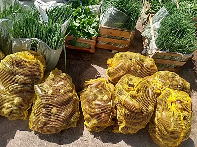 Programa de Aquisição de Alimentos tem recurso de R$ 461 mil em 2024; inscrições estão abertas