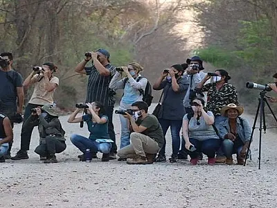 Evento "Vem Passarinhar MS" promove o birdwatching em Corumbá