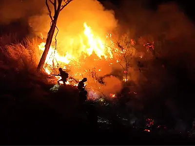 Combate noturno controla parte do fogo na região da Nhecolândia