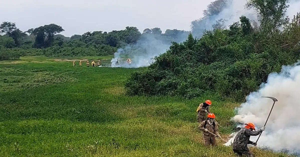 Chuvas acima da média contribuem para controlar focos de incêndios no Pantanal de MS