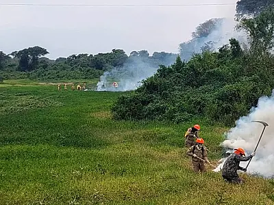 Chuvas acima da média contribuem para controlar focos de incêndios no Pantanal de MS