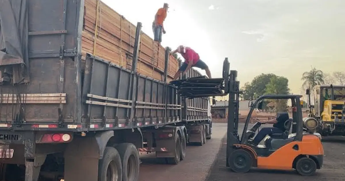 Empresa catarinense é multada em R$ 31,5 mil por transporte ilegal de madeira