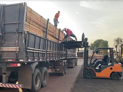 Empresa catarinense é multada em R$ 31,5 mil por transporte ilegal de madeira