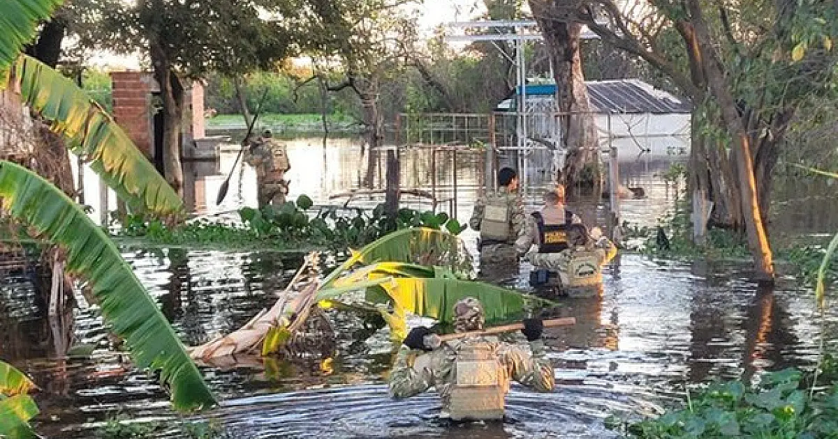 PF deflagra operação contra caça ilegal de onça-pintada no Pantanal