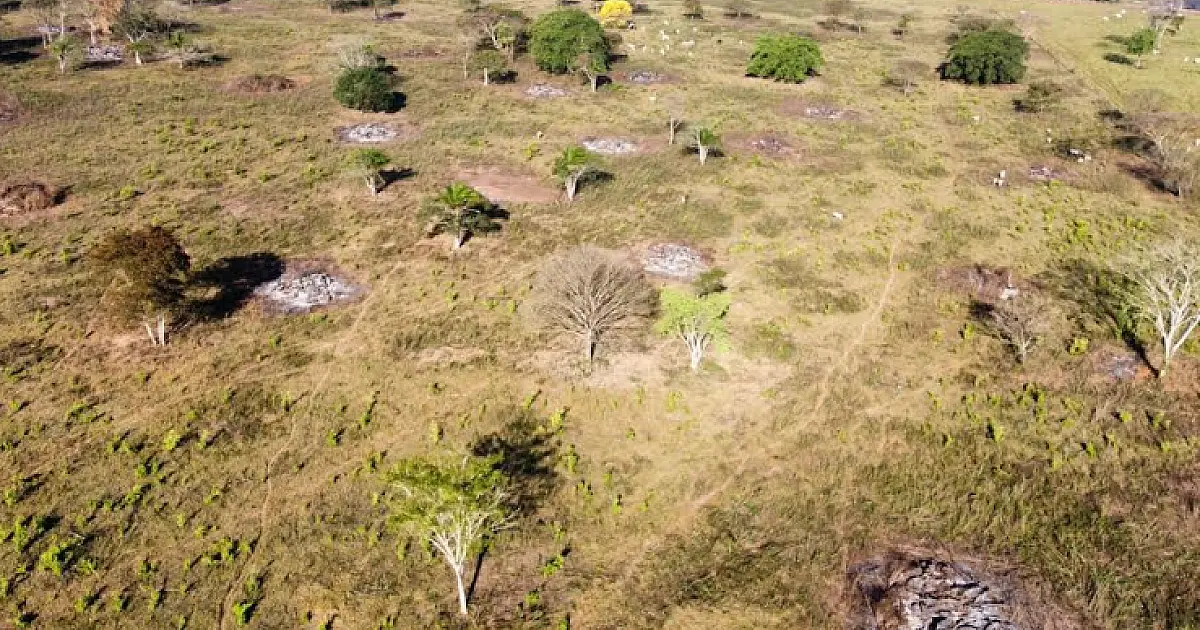 Proprietário rural é multado em R$ 5 mil por descumprir proibição do uso de fogo