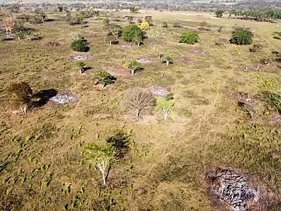 Proprietário rural é multado em R$ 5 mil por descumprir proibição do uso de fogo