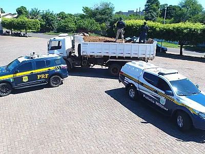 Ação conjunta apreende 12 toneladas de maconha; a maior do ano