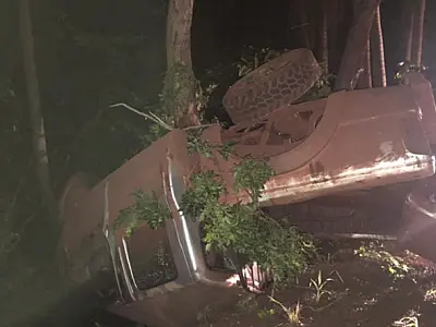 Casal fica ferido após carro colidir em anta na BR 262