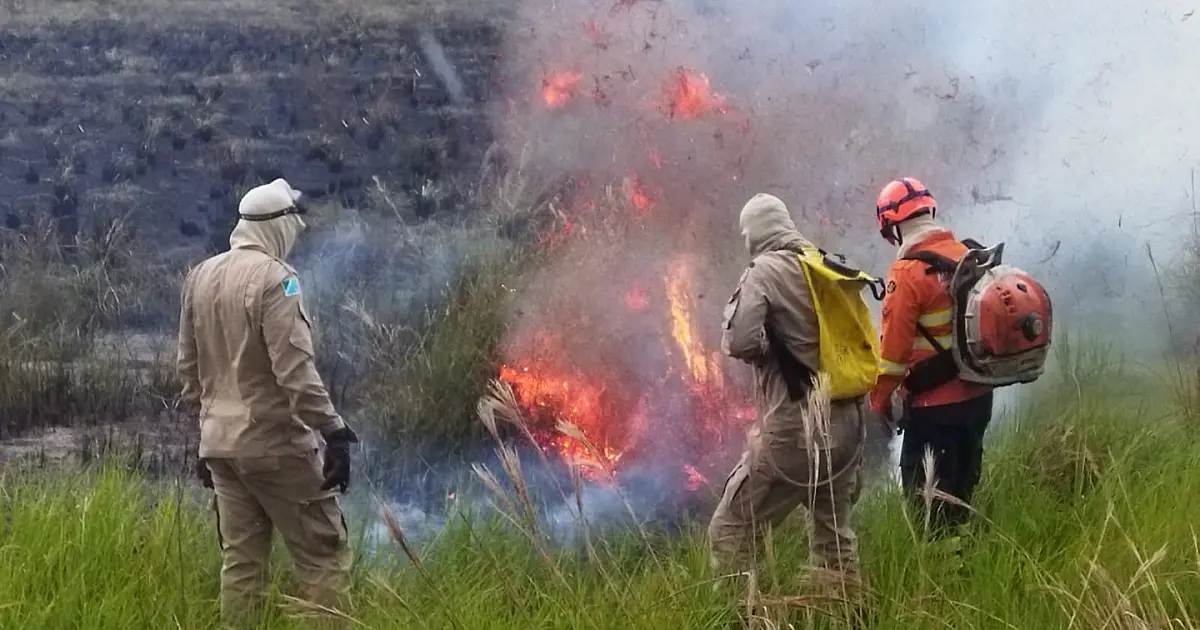 Fogo volta a queimar na Área de Adestramento do Rabicho