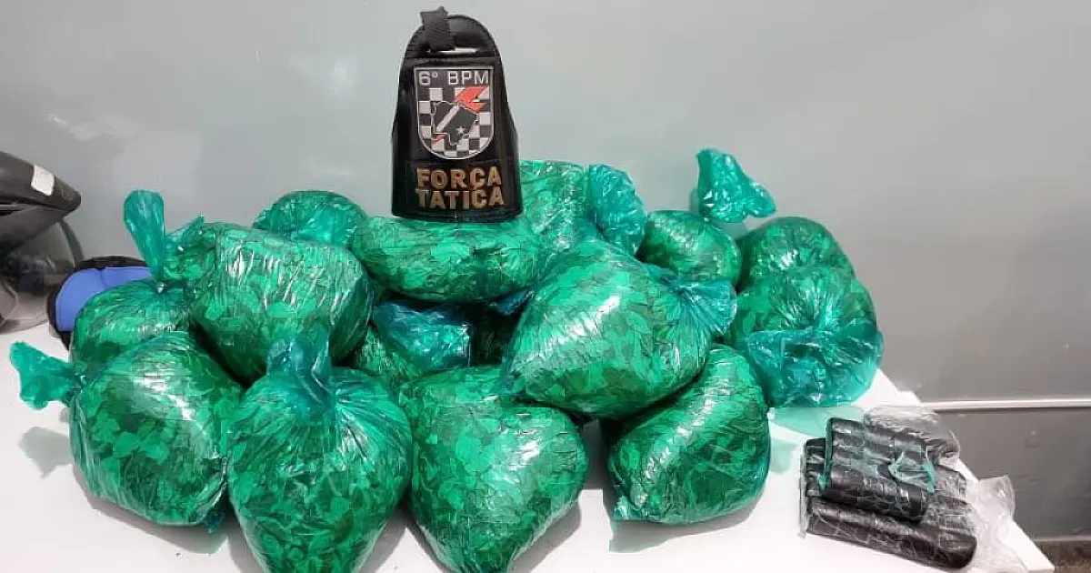 Força Tática apreende 9kg de folhas de coca e prende autor