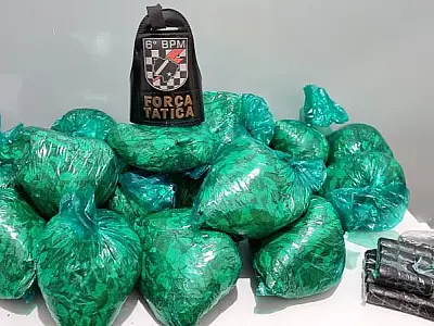 Força Tática apreende 9kg de folhas de coca e prende autor