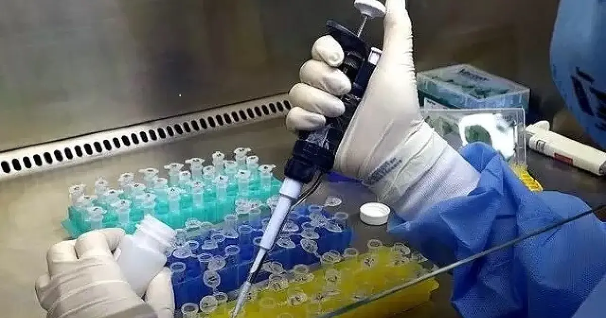 MS confirma primeiro caso da variante Ômicron