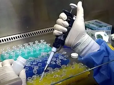 MS confirma primeiro caso da variante Ômicron