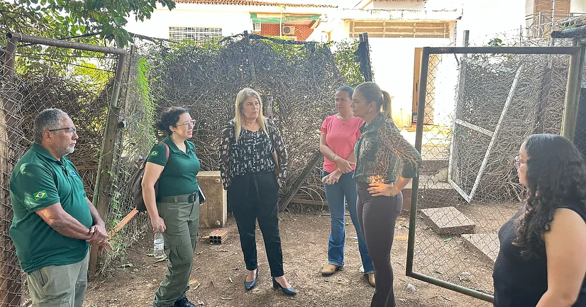 Ibama visita instalações do Centro de Atendimento Emergencial de Animais Silvestres de Corumbá