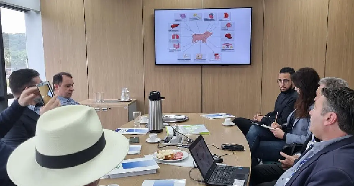 Embrapa apresenta projeto sobre pesquisa com animais geneticamente editados