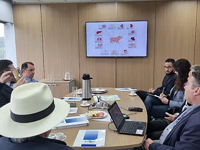 Embrapa apresenta projeto sobre pesquisa com animais geneticamente editados