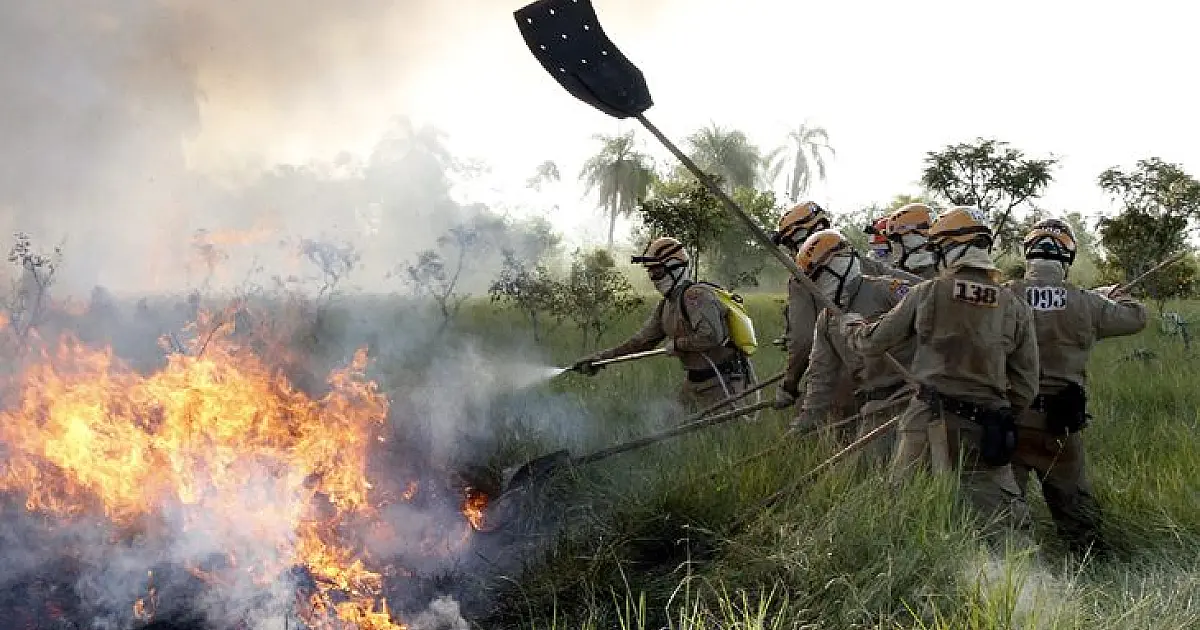 Operação Pantanal completa 149 dias de atuação no Pantanal e Cerrado de MS