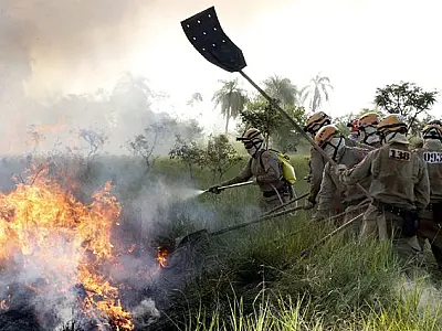 Operação Pantanal completa 149 dias de atuação no Pantanal e Cerrado de MS