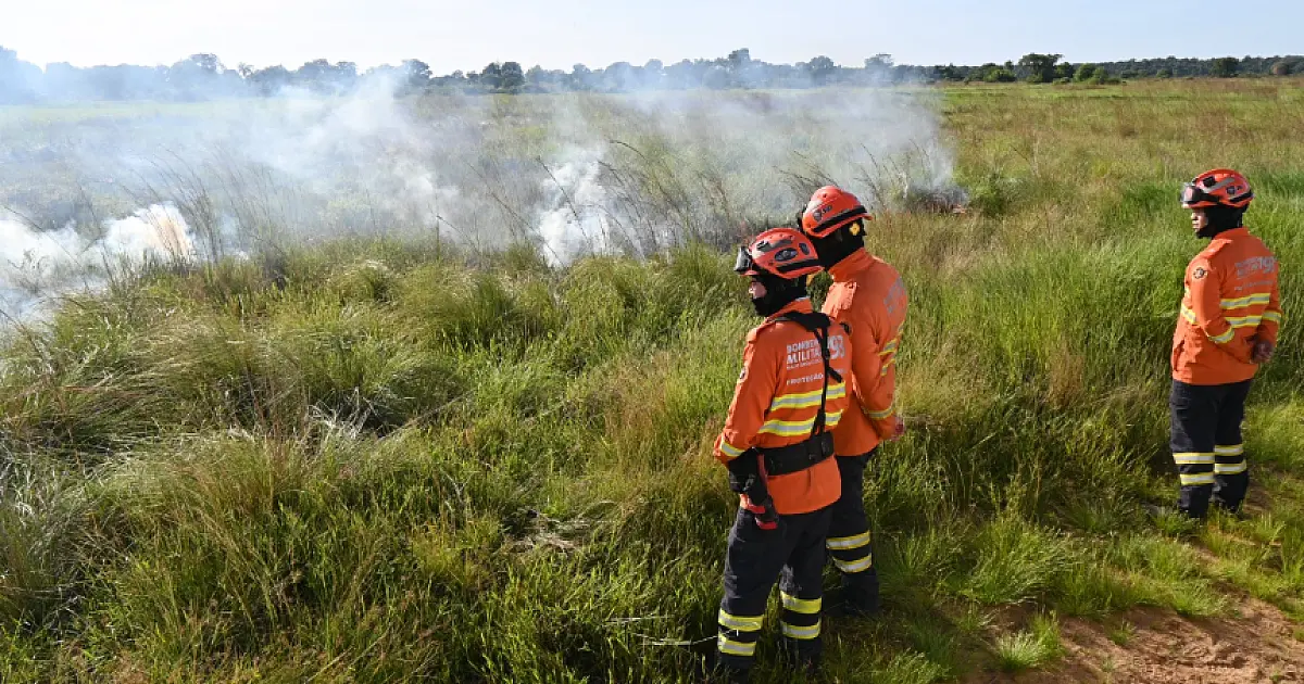 Balanço da Operação Pantanal 2025 registra redução histórica de focos e área queimada