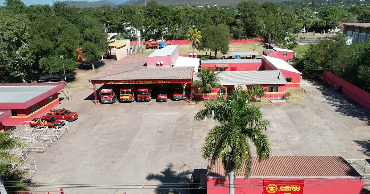 Cortes e vistorias em árvores são destaques no plantão dos Bombeiros
