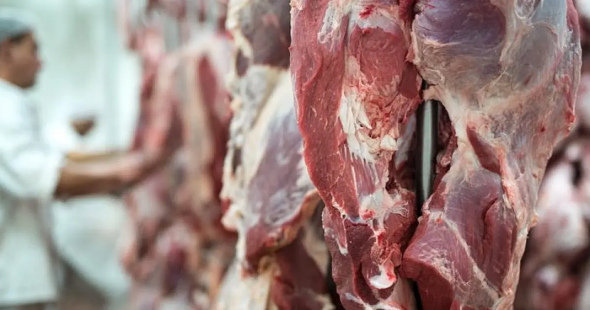 Exportações de carne bovina registram queda de 21% em Mato Grosso do Sul