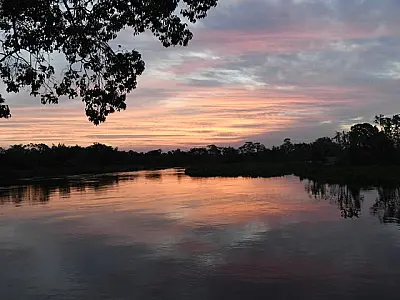 Governo de MS prepara atuação para temporada de incêndios florestais no Pantanal