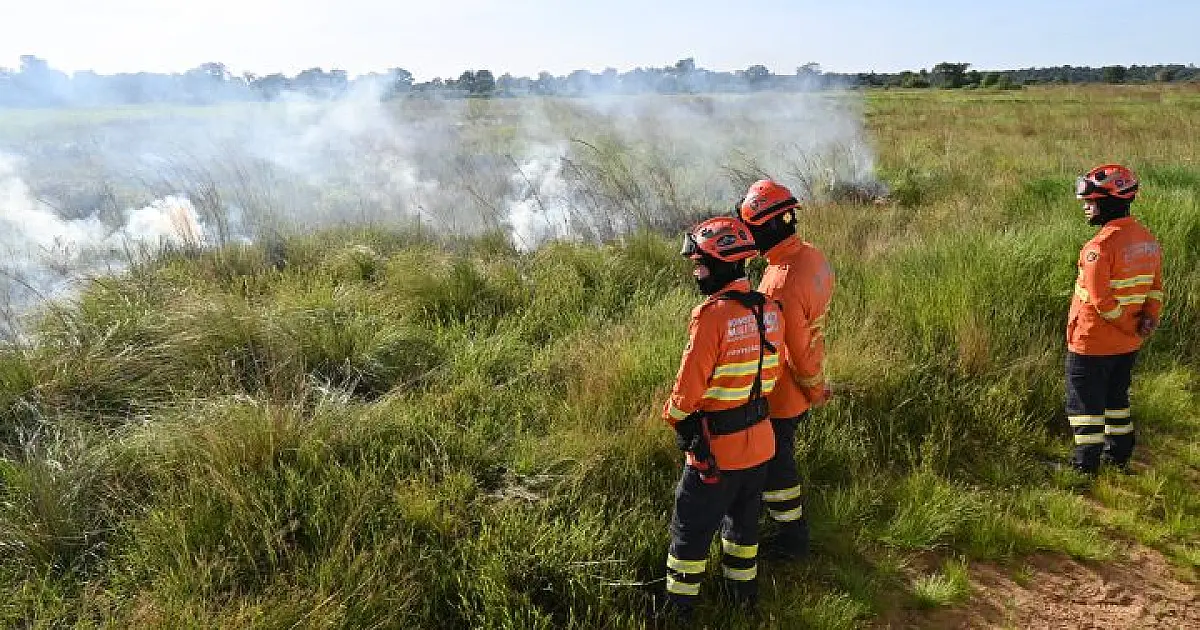 Força-tarefa cria "cinturão preventivo" contra incêndios no Pantanal