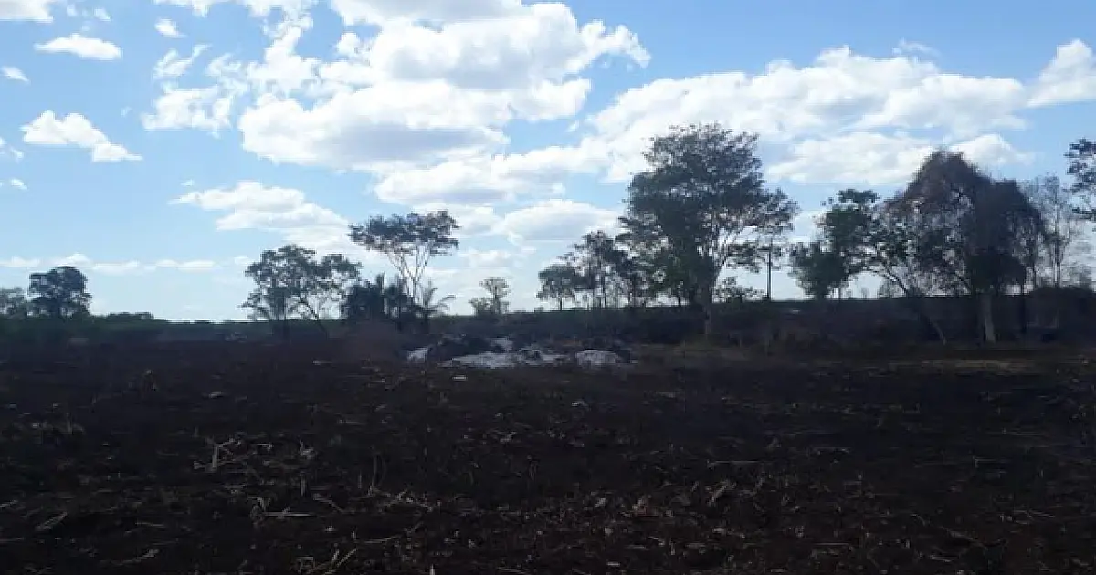 Proprietário rural é multado em R$ 9 mil por queima controlada proibida