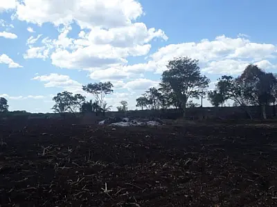 Proprietário rural é multado em R$ 9 mil por queima controlada proibida
