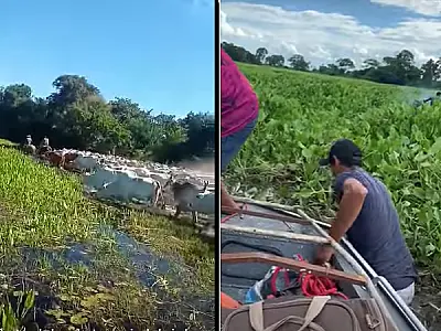 Nível do rio Paraguai ultrapassa média dos últimos cinco anos em toda sua extensão