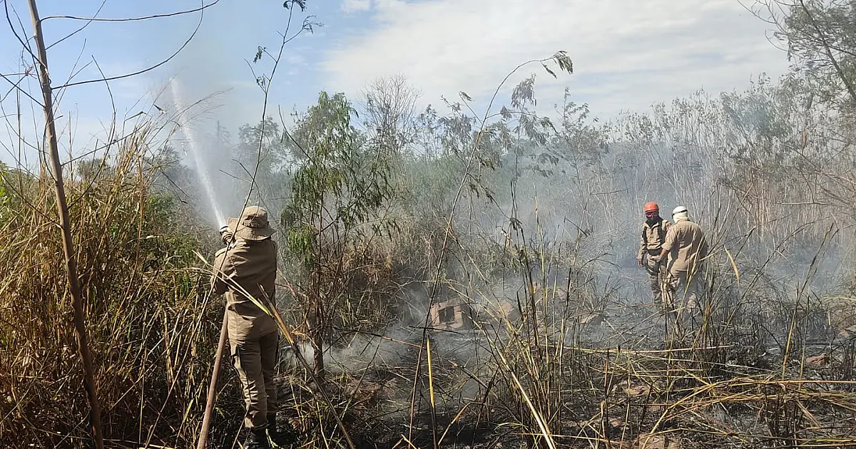 Mais de 6 mil litros de água são utilizados para combater incêndio próximo a fábrica de cimentos