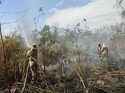 Mais de 6 mil litros de água são utilizados para combater incêndio próximo a fábrica de cimentos