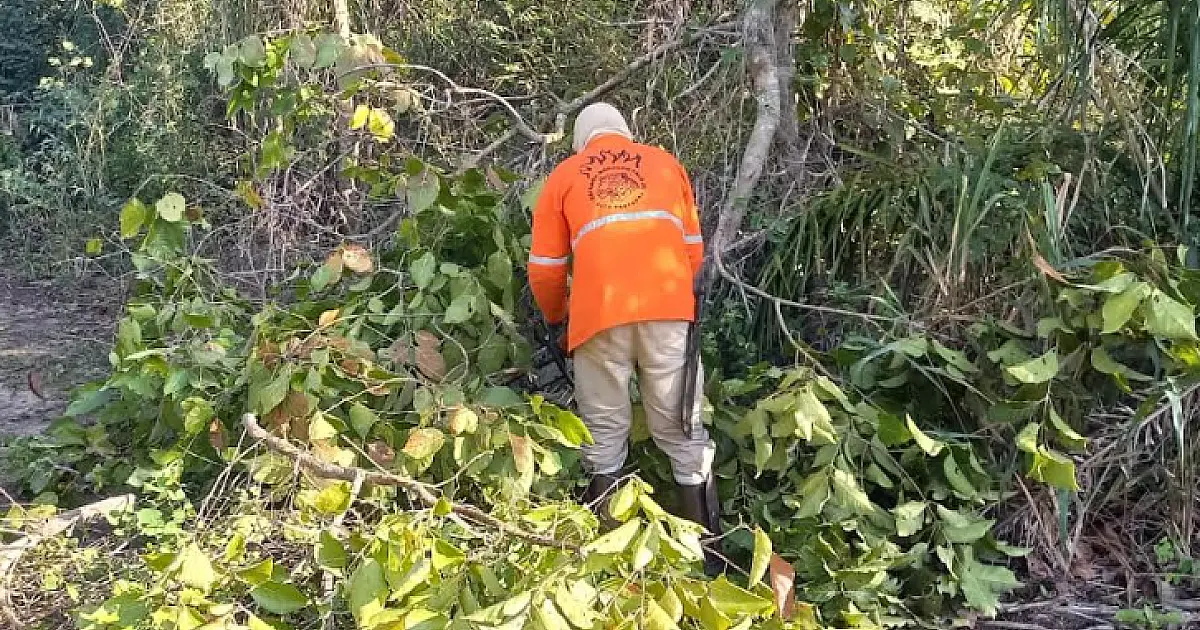 Brigada Alto Pantanal reforça ações de prevenção contra o fogo na Serra do Amolar