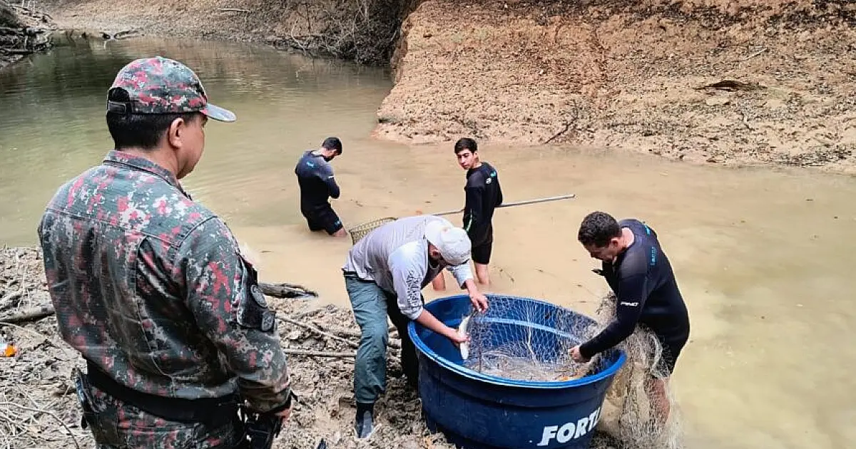 IHP integra grupo para operação de vistoria e resgate de peixes na região do rio da Prata