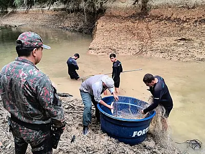 IHP integra grupo para operação de vistoria e resgate de peixes na região do rio da Prata