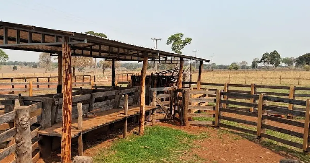 Operação aplica R$ 13.500 em multas por desmatamento ilegal no Pantanal