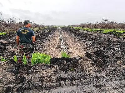 Paranaense é multado R$ 21,3 mil por escavação irregular de mais de 10 km de drenos