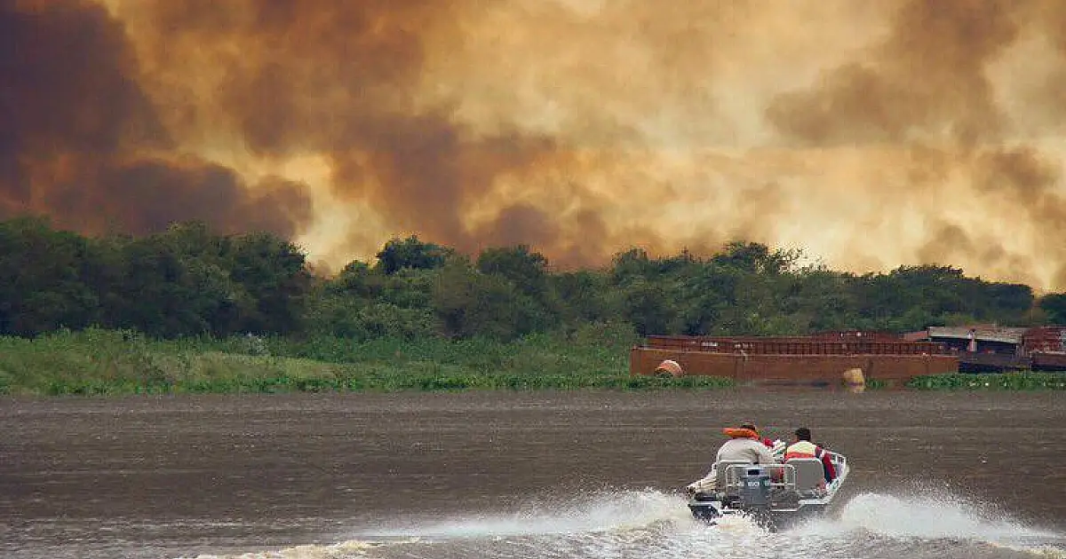 Ecoa defende ações integradas entre países fronteiriços para proteger o Pantanal
