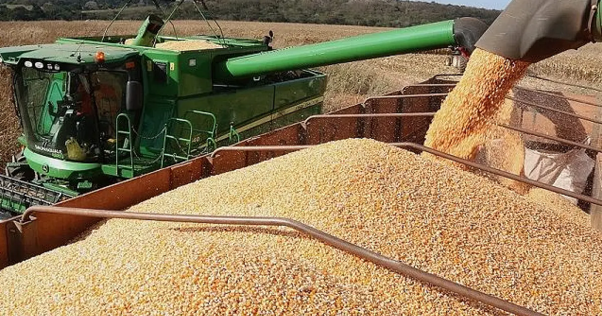 Balança comercial de MS fechou 2024 em superávit de US$ 7,1 bilhões