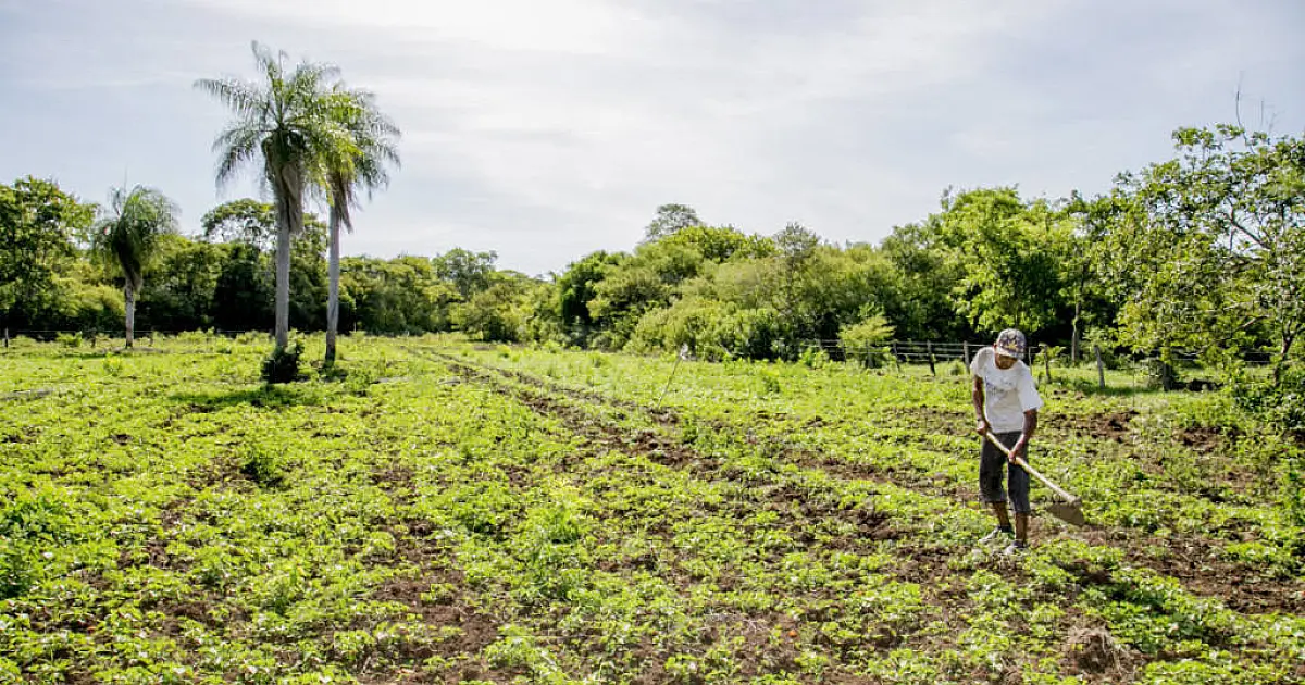 Cidade Empreendedora: 1&ordm; Seminário de Agricultura Familiar será nesta quinta-feira